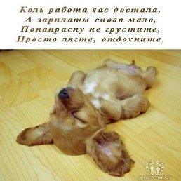 ���� ������, ������������, 51 ��� - ��������� 17 ����� 2018