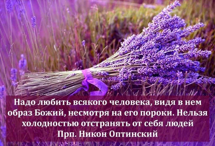   - 1  2018  07:32