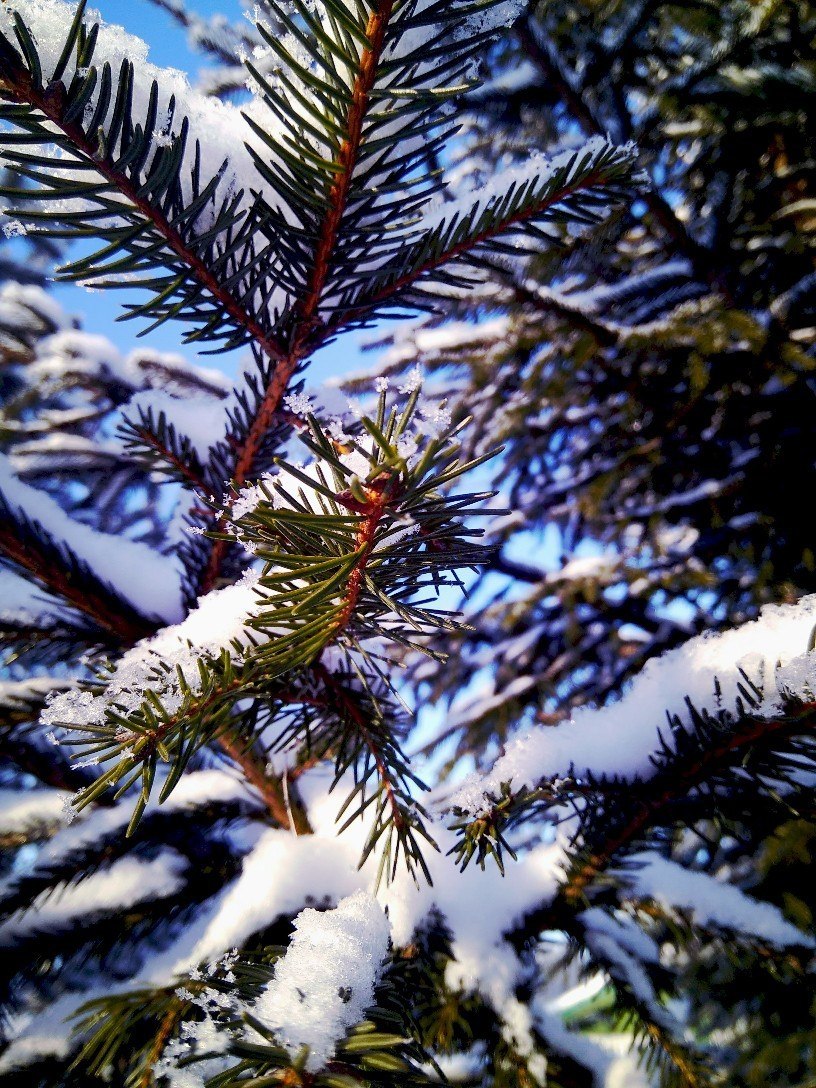       !!! - 7