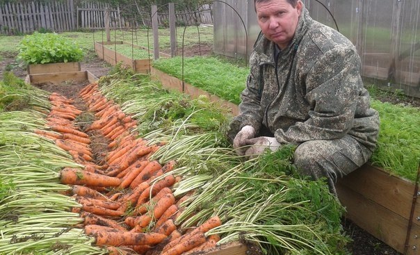 ,  ,     BioGrow Plus https://fotostrana.ru/away?to=/sl/0UQ .   ... - 3