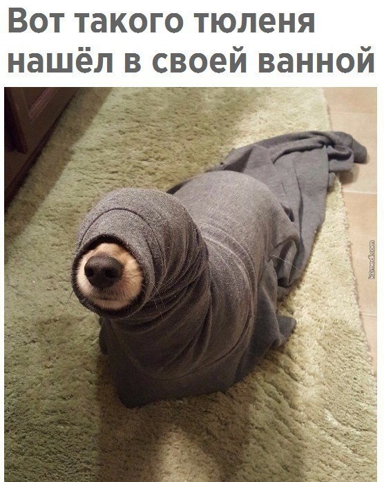  - 4  2017  07:07