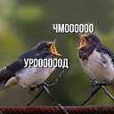 ���� ��������, �����, 35 ��� - ��������� 9 ��� 2018 � ������ ������ ��������