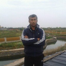 ����, ������, 45 ���