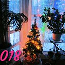 ���� �����, ����������� - ��������� 1 ������ 2018 � ������ ���� ����������