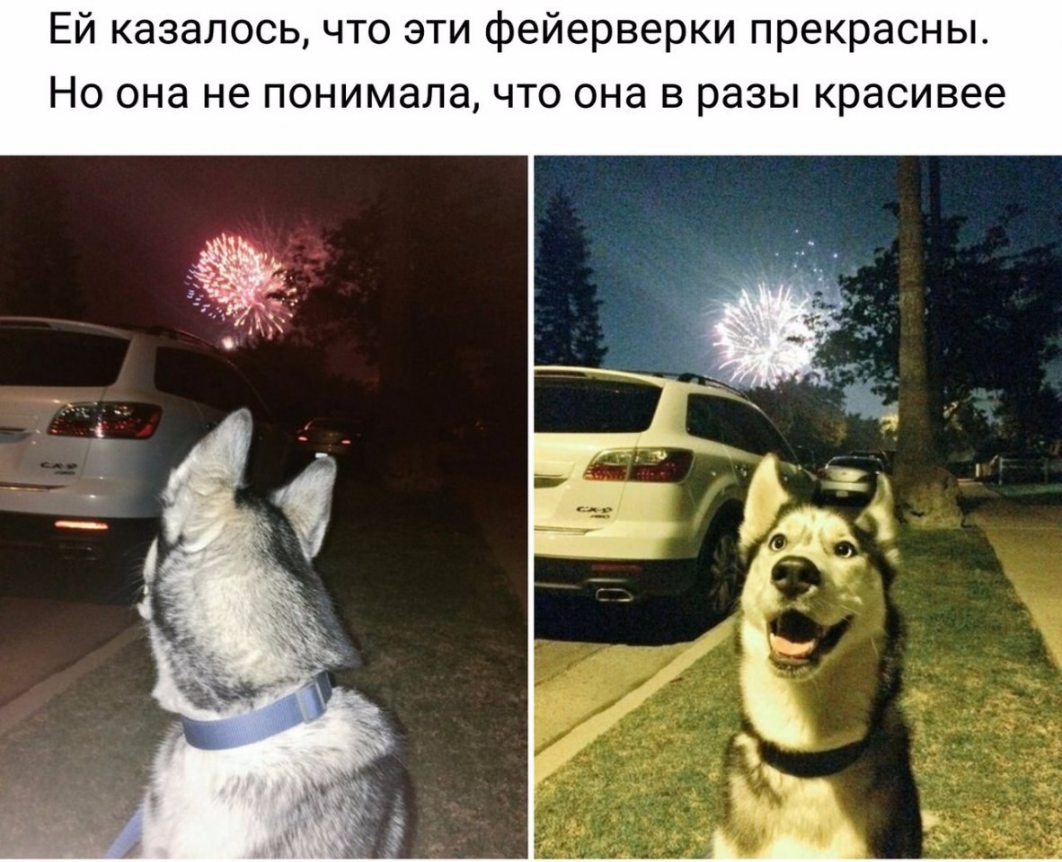   - 13  2018  03:52