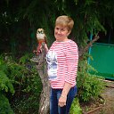 ���� �����, �������, 54 ���� - ��������� 3 ���� 2018 � ������ ������ ��������