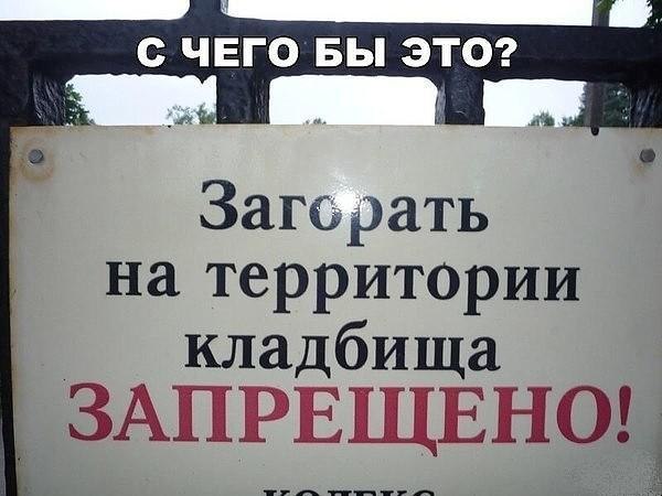 Nightjar - 22  2018  09:27 - 28