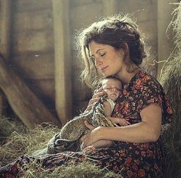 �����������