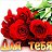 ���� Ravshanbek 89644500261 ������, �����, 45 ��� - ��������� 18 ���� 2018