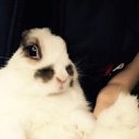  , --, 49  -  29  2018    