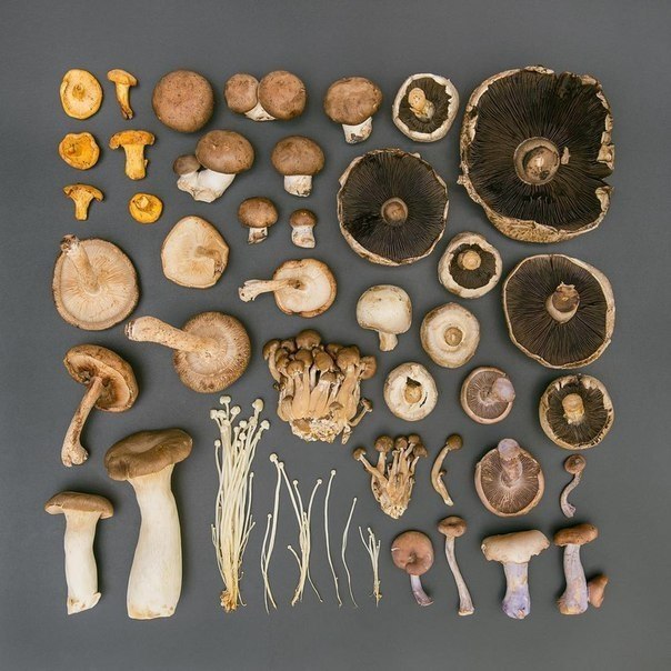  - Emily Blincoe - 9