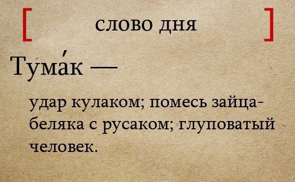   . - 8