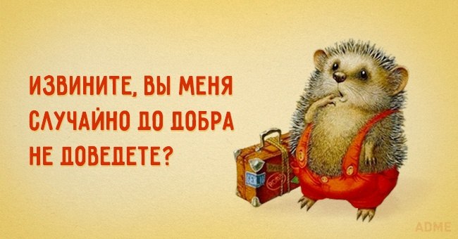  - 1  2017  16:49