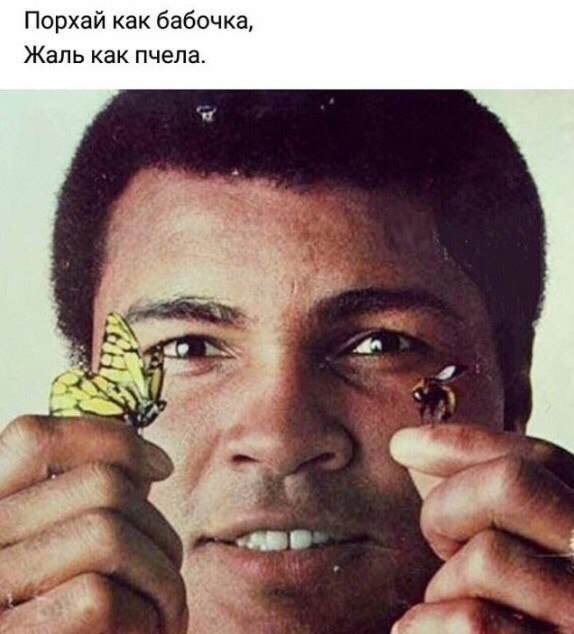    - 5  2018  03:50
