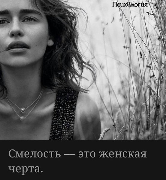  - 11  2018  03:38