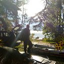���� ���������, �����-���������, 50 ��� - ��������� 11 ������� 2018 � ������ ���� ����������