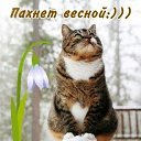 ���� ��������, ��������, 49 ��� - ��������� 27 ����� 2018 � ������ ������ ��������