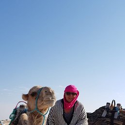 ���� Agor, ������-��-���� - ��������� 22 ���� 2018