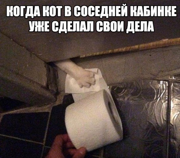  -  - 14  2018  03:51