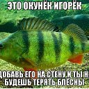  , , 71  -  24  2017    