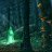 Do not go into the woods