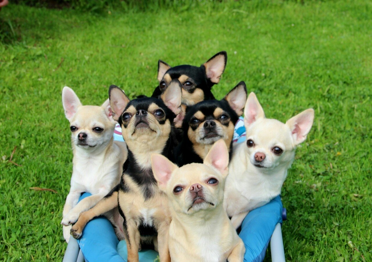 ���� ����