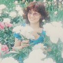 ���� �������, �����-���������, 62 ���� - ��������� 10 ������� 2018 � ������ ���� ����������