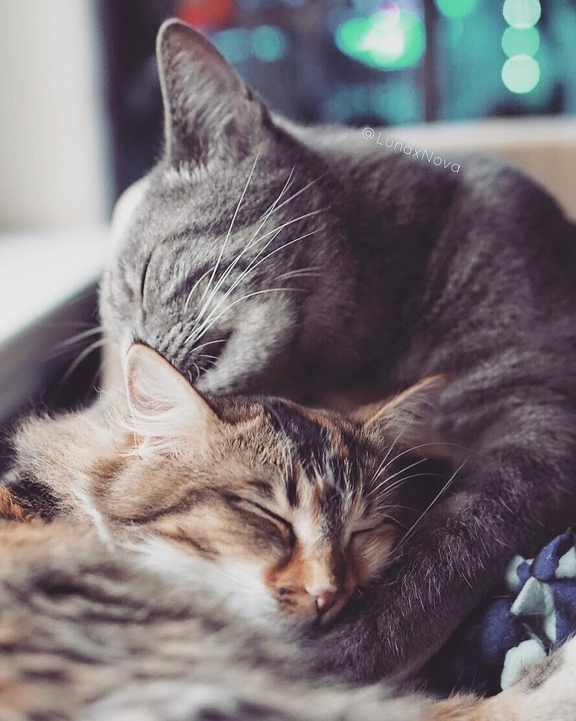    :3