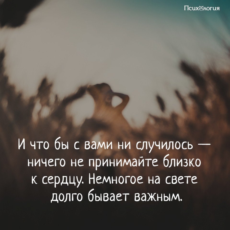 - 24  2018  02:52