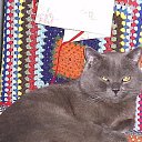  *, --, 50  -  9  2017    