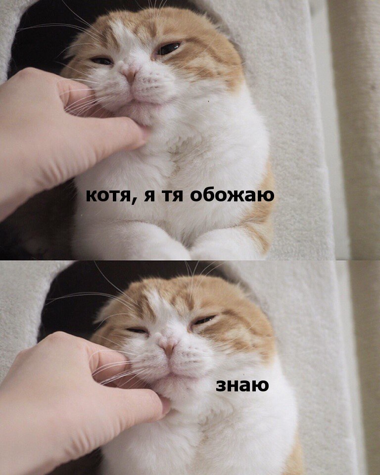       - 4  2018  03:54