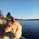 ���� ������, ������������, 48 ��� - ��������� 9 ������� 2018 � ������ ���� ����������