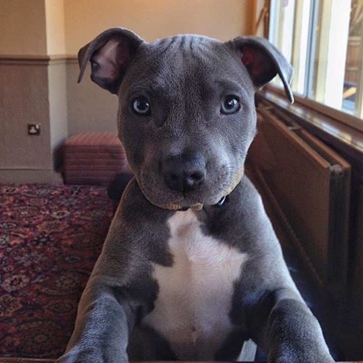 ������ - 7 ������� 2018 � 03:51