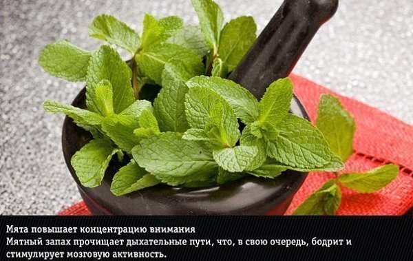 9 ��������� ��������, ���������� �������� ������ �������� - 8