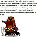 ���� ��������, ����, 57 ��� - ��������� 8 ���� 2018 � ������ ���� ����������