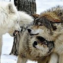 ���� ������, ������������ - ��������� 20 ������ 2018 � ������ ������