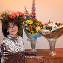 ���� ���������, ��������� - ��������� 15 ���� 2018 � ������ ���� ����������