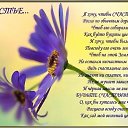 ���� ����, ������, 81 ��� - ��������� 20 ����� 2018 � ������ ������ ��������