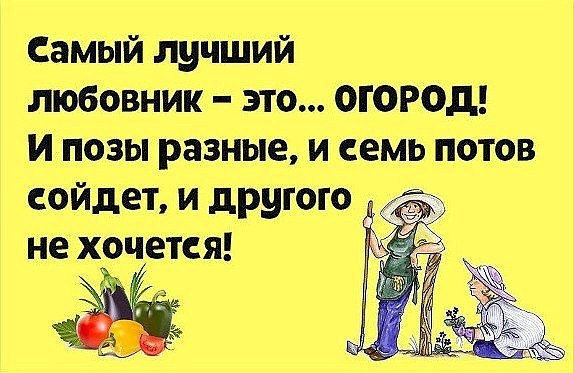😊😊😊😊 Я завела себе любовника, К нему спешу по ...