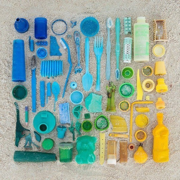  - Emily Blincoe - 5