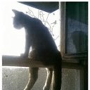 ���� �������, ������������, 49 ��� - ��������� 1 ��� 2018 � ������ ���� ����������