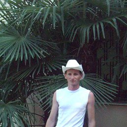 ����������, ���, 49 ���