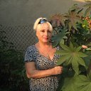 ���� �������, ������ - ��������� 29 ����� 2018 � ������ ���� ����������