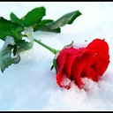 ���� Elena, ���������, 52 ���� - ��������� 24 ������ 2017 � ������ ���� ����������