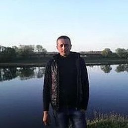 Sereoja, �������, 42 ����