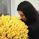 ���� ������, ������ - ��������� 17 ������� 2017