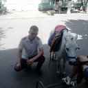  , -, 37  -  25  2018    