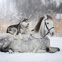 ���� �������, ������ - ��������� 7 ���� 2018 � ������ ��������