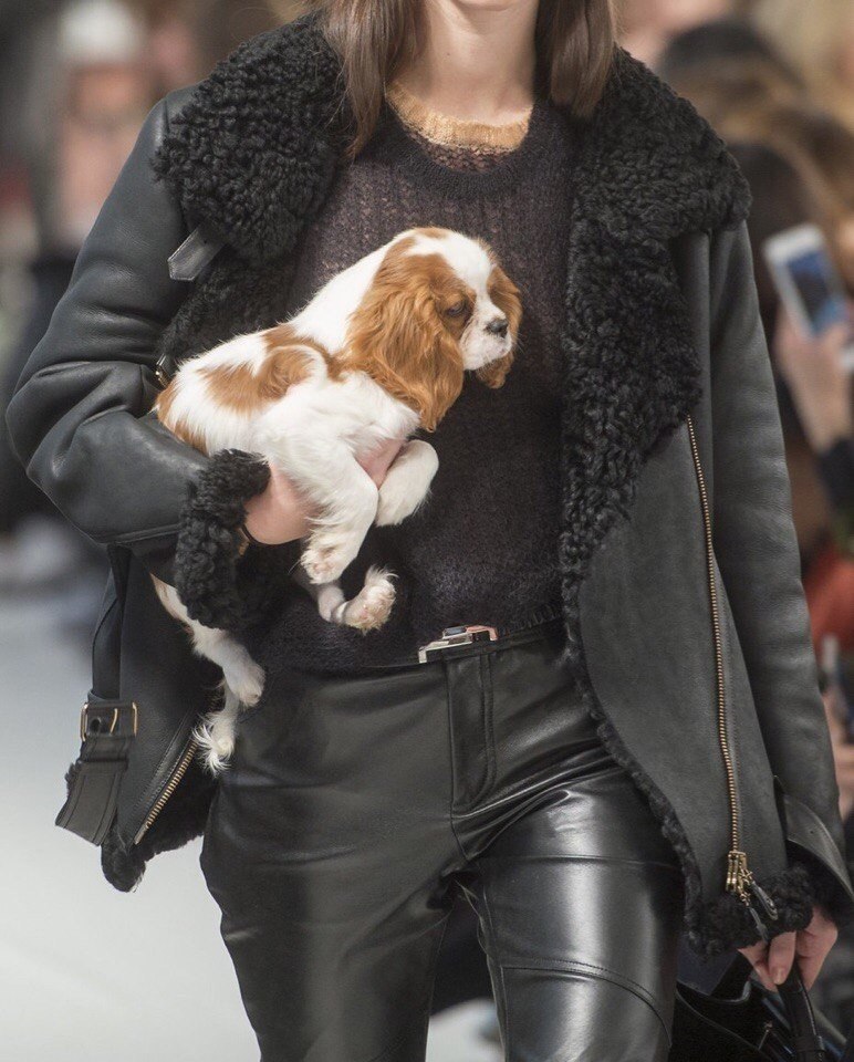   TodS Fall 2018,     . - 9