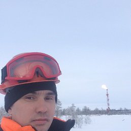 ������, �����, 40 ���